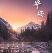 成人麻豆视频网站-一篇关于现代网络信息搜索的导览