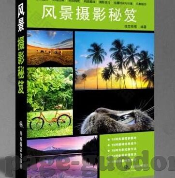伦理电影有哪些-伦理电影的多样风貌，深度与情感的交织