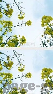 麻豆av电影-麻豆AV电影，内容、影响与界限探索