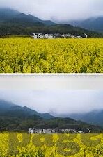 麻豆传媒污视频-网罗真实，探索虚拟世界影像的边界——麻豆传媒内容之我见