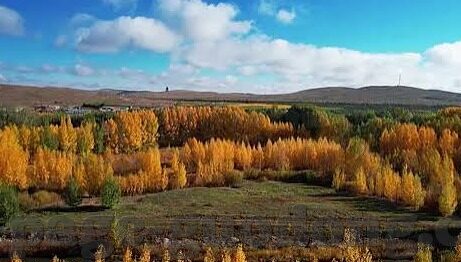 麻豆黄片视频app-揭秘暗网成人内容误区，了解麻豆黄片视频app的真相