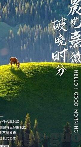 日韩av一区在线-日韩AV一区在线，网络文化中的特殊现象与影响
